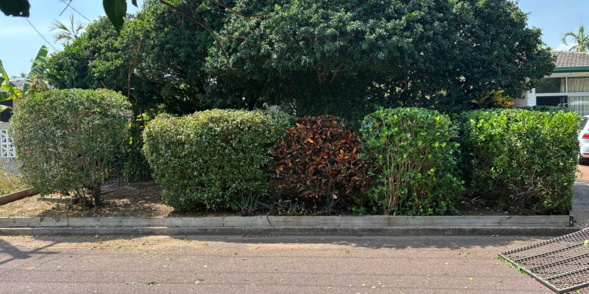 Well-maintained commercial garden with palm trees, mulched garden beds, and tidy lawn by iScape NT in Darwin.