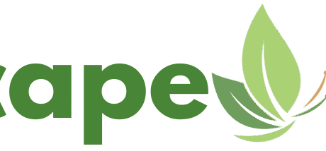 iScape NT logo – landscaping and garden maintenance specialists in the Northern Territory