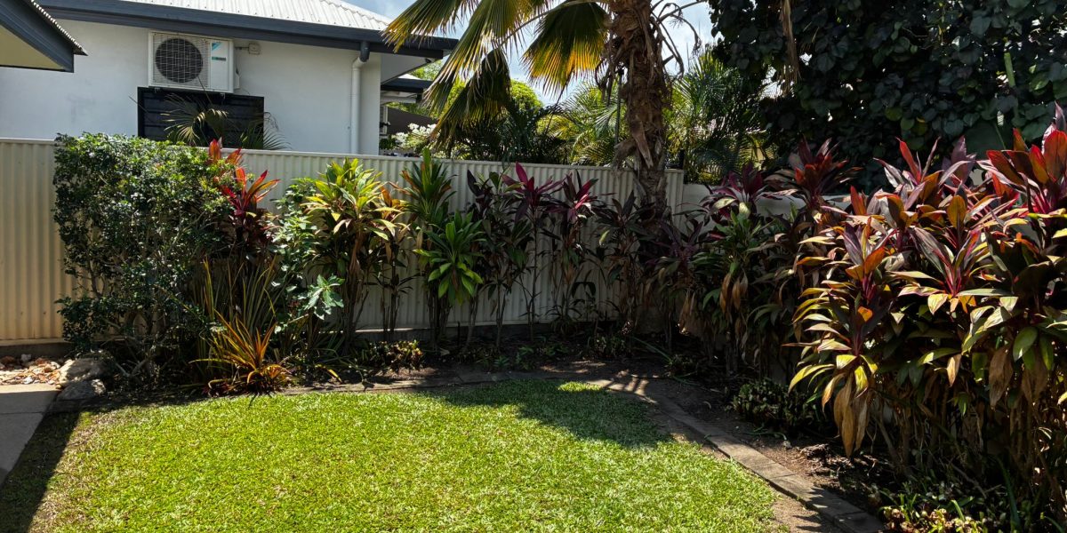 Darwin backyard after mowing, weeding, and garden