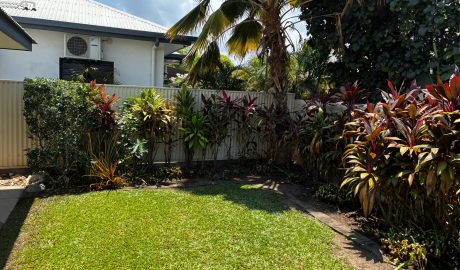 Darwin backyard after mowing, weeding, and garden