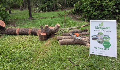 Fallen tree cut into sections with chainsaw on lawn after cyclone, with iScape NT sign displayed at the site in Darwin.